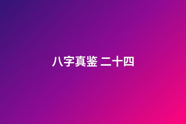 八字真鉴 二十四